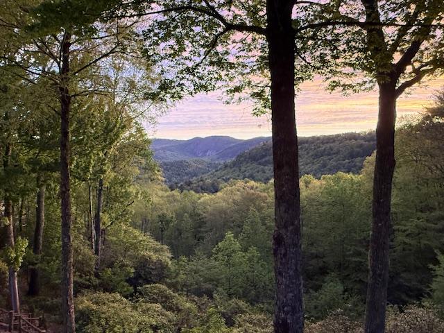170 Old Hunters Run, Cashiers, NC 28717 - view of mountain backdrop with a forest