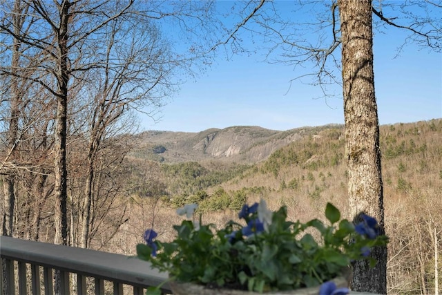 view of mountain feature