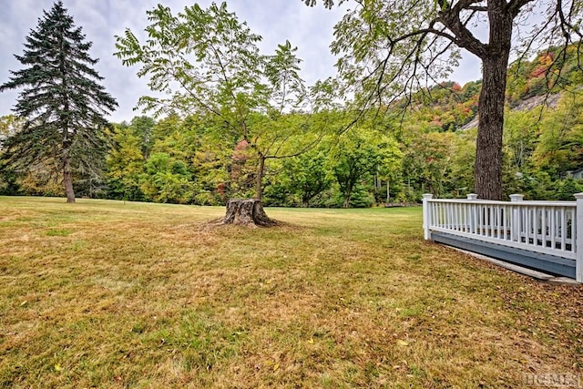 view of yard with a wooden deck