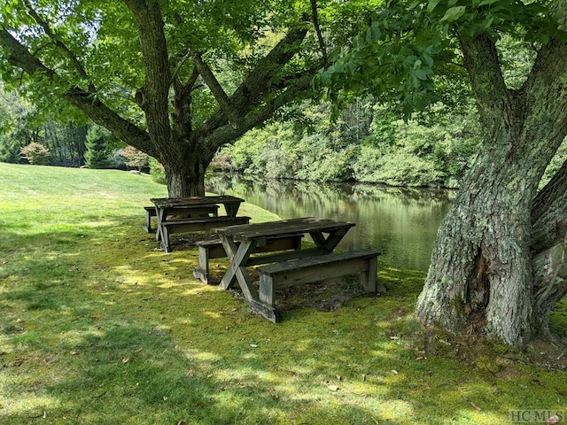 view of community with a water view and a yard