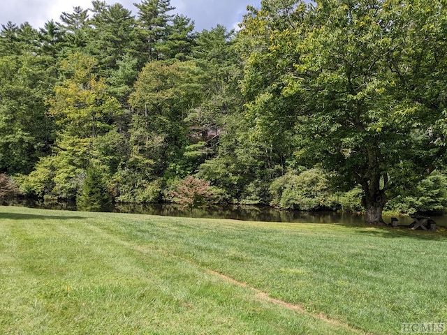 view of yard with a water view