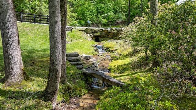 67 Chimney Overlook Dr, Scaly Mountain, NC 28775 - view of wooded area