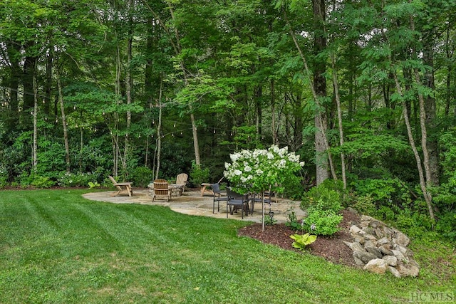 view of yard with a patio and an outdoor fire pit