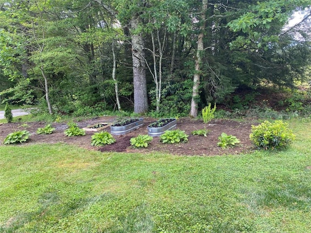1569 Jodytown Rd, Cashiers, NC 28717 - view of grassy yard with a vegetable garden