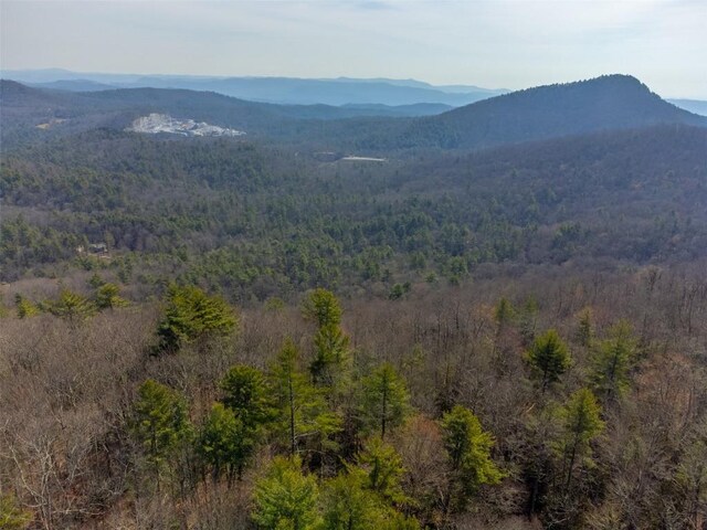 00 Little Cottage Way, Sapphire, NC 28774