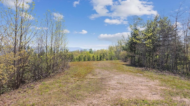 380 Ledford Dr, Franklin, NC 28734 - view of road with a forest view