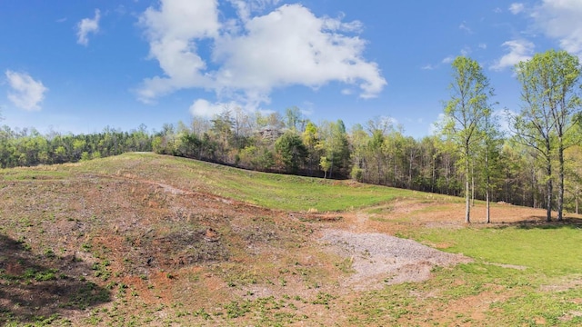 380 Ledford Dr, Franklin, NC 28734 - view of yard featuring a wooded view