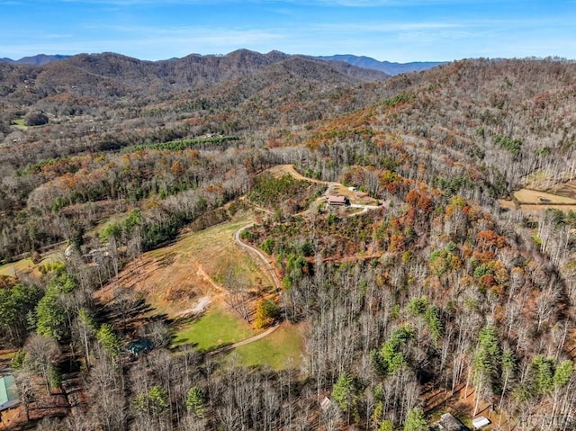 bird's eye view with a mountain view