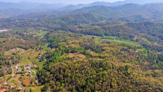 380 Ledford Dr, Franklin, NC 28734 - bird's eye view with a mountain view and a wooded view