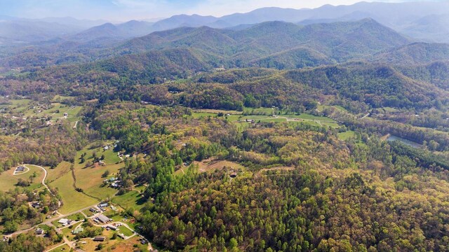 380 Ledford Dr, Franklin, NC 28734 - mountain view with a forest view