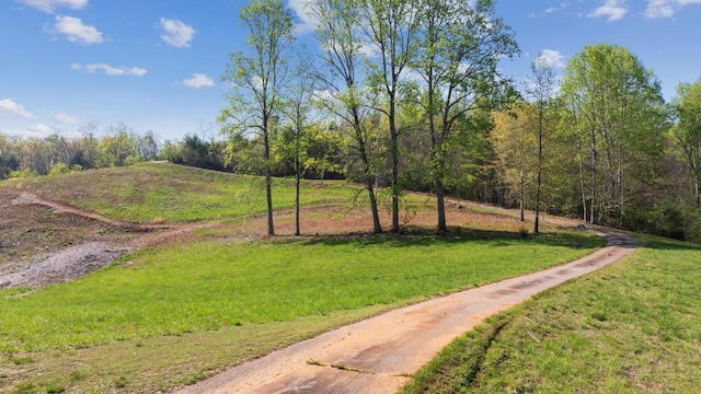 380 Ledford Dr, Franklin, NC 28734 - surrounding community with a lawn