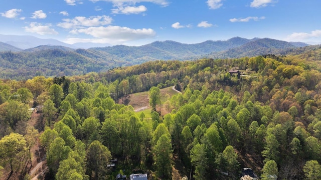 380 Ledford Dr, Franklin, NC 28734 - view of mountain feature featuring a forest view