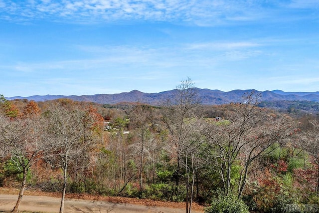 380 Ledford Dr, Franklin, NC 28734 - property view of mountains