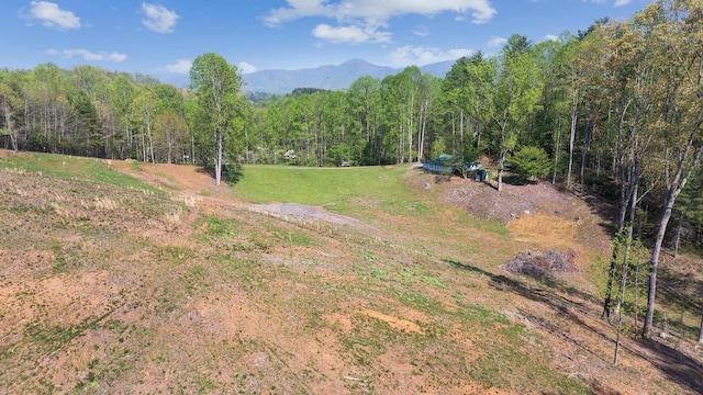 380 Ledford Dr, Franklin, NC 28734 - view of yard featuring a forest view and a mountain view