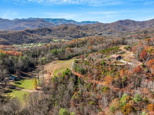 bird's eye view with a mountain view