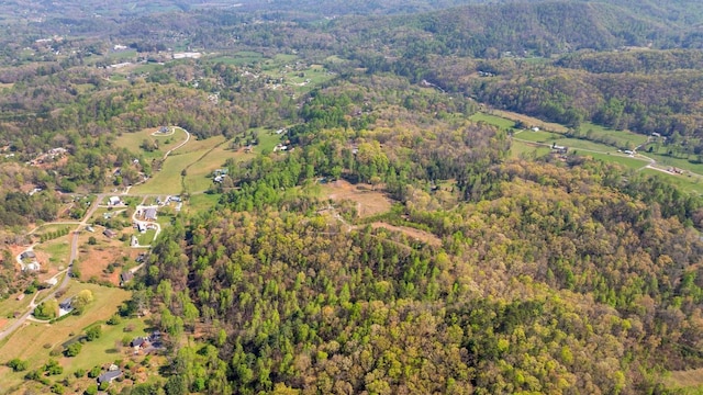 380 Ledford Dr, Franklin, NC 28734 - drone / aerial view featuring a forest view