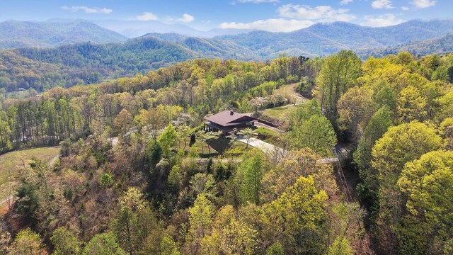 380 Ledford Dr, Franklin, NC 28734 - view of property exterior featuring brick siding, central AC unit, and a mountain view