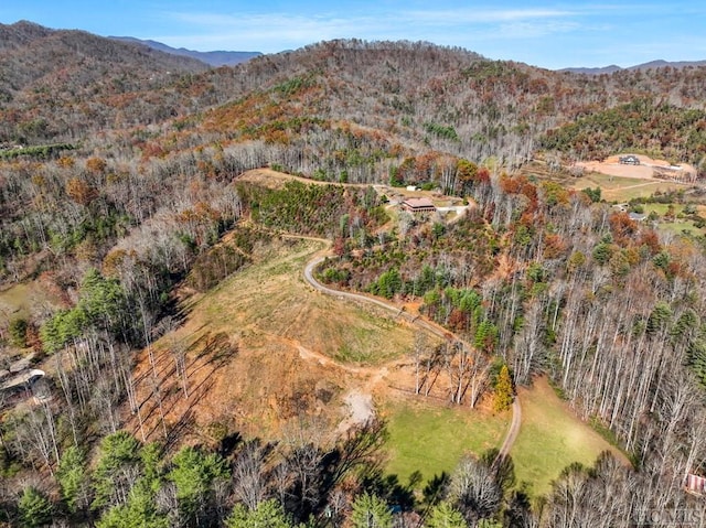 bird's eye view featuring a mountain view