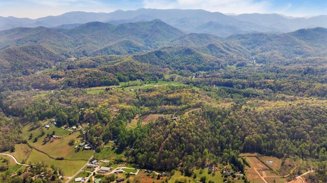 380 Ledford Dr, Franklin, NC 28734 - birds eye view of property with a mountain view and a view of trees