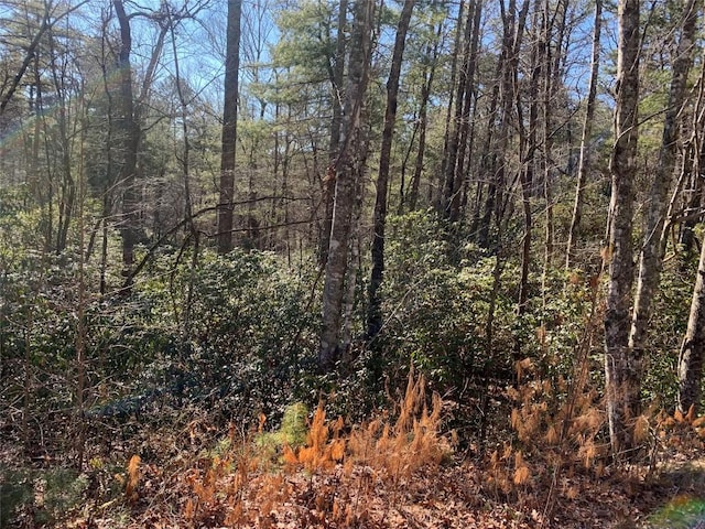 Listing photo 2 for LOT9 Oak Laurel Rd, Brevard NC 28712