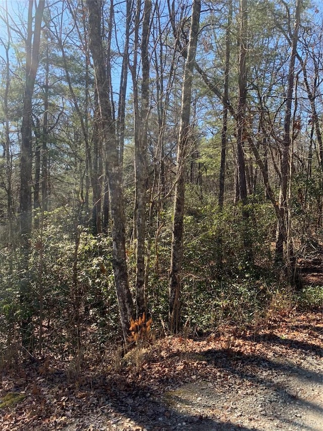 Listing photo 3 for LOT9 Oak Laurel Rd, Brevard NC 28712