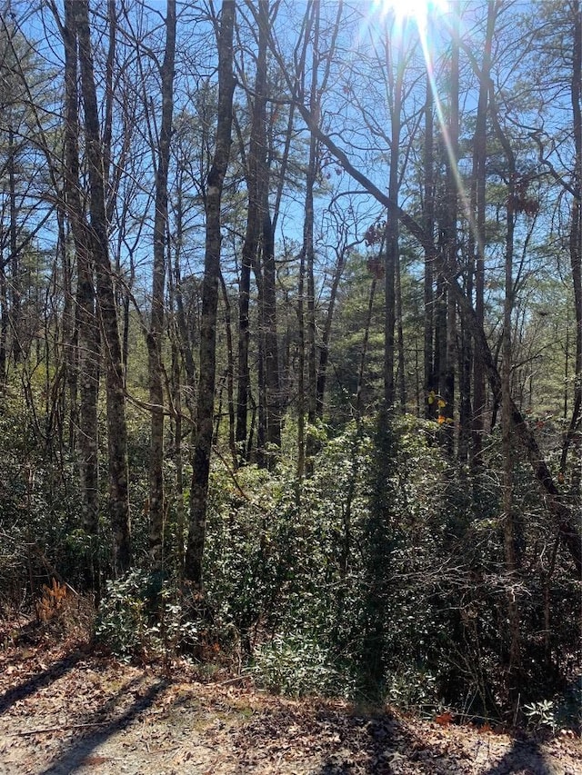 LOT9 Oak Laurel Rd, Brevard NC, 28712 land for sale