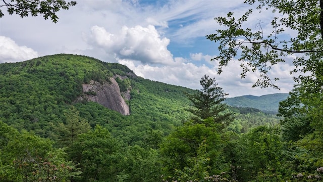 LT162 Lonesome Valley Rd, Sapphire, NC 28774