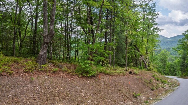 LT162 Lonesome Valley Rd, Sapphire, NC 28774