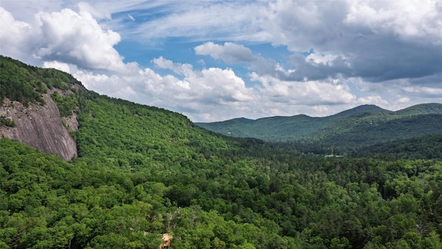 LT162 Lonesome Valley Rd, Sapphire, NC 28774
