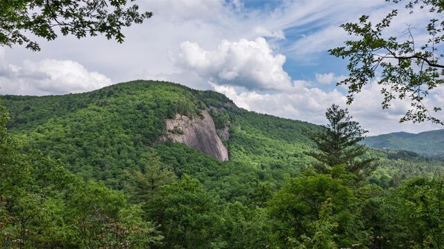 LT162 Lonesome Valley Rd, Sapphire, NC 28774