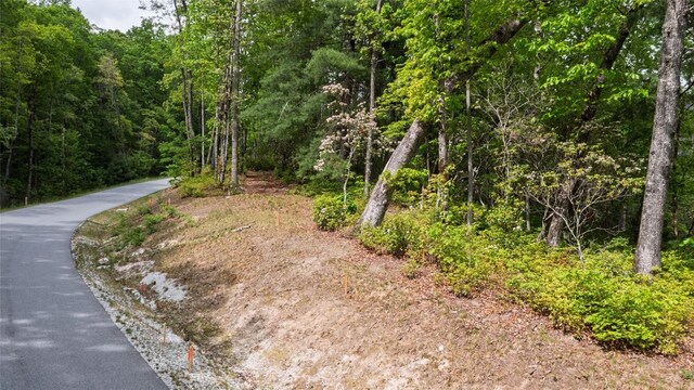 LT162 Lonesome Valley Rd, Sapphire, NC 28774