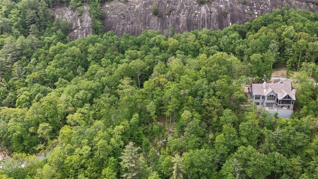 LT162 Lonesome Valley Rd, Sapphire, NC 28774