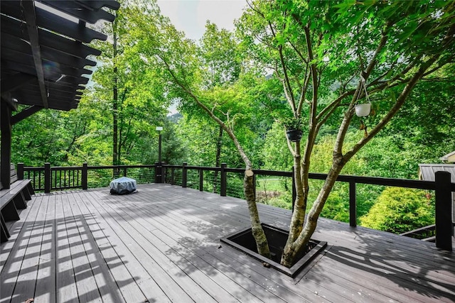 112 Bold Creek Trl, Glenville, NC 27836 - photo 57