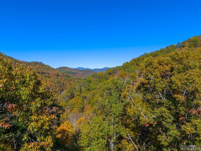 view of mountain feature