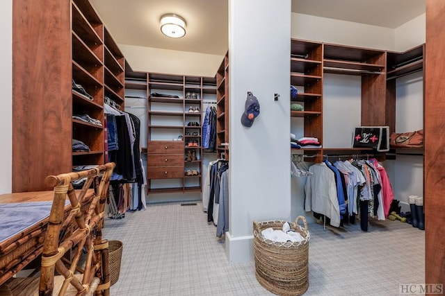 spacious closet featuring carpet