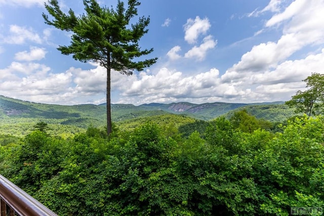 view of mountain feature