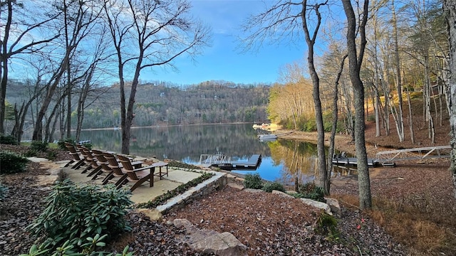 property view of water featuring a dock