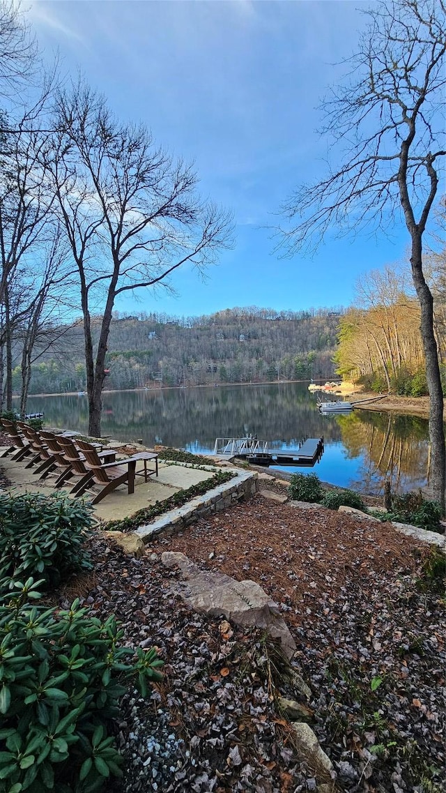 view of yard with a water view and a boat dock