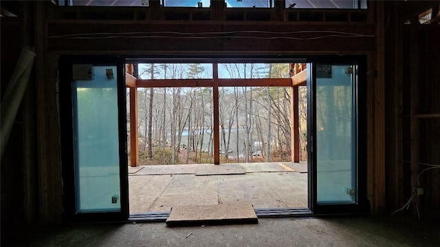 doorway featuring a wealth of natural light