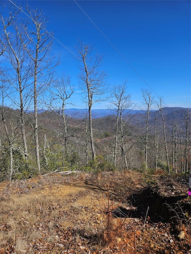 00 Longview Rdg, Sylva NC, 28779 land for sale