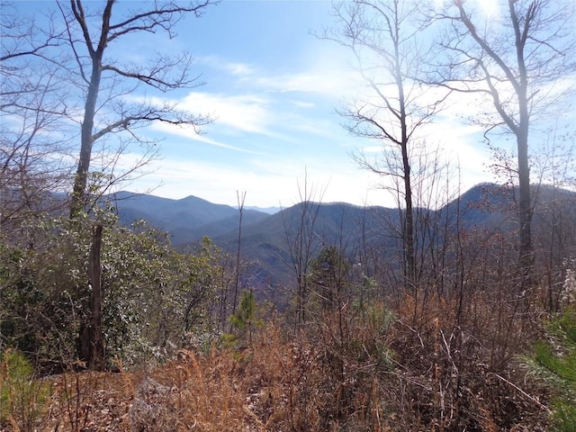 Listing photo 3 for 00 Longview Rdg, Sylva NC 28779