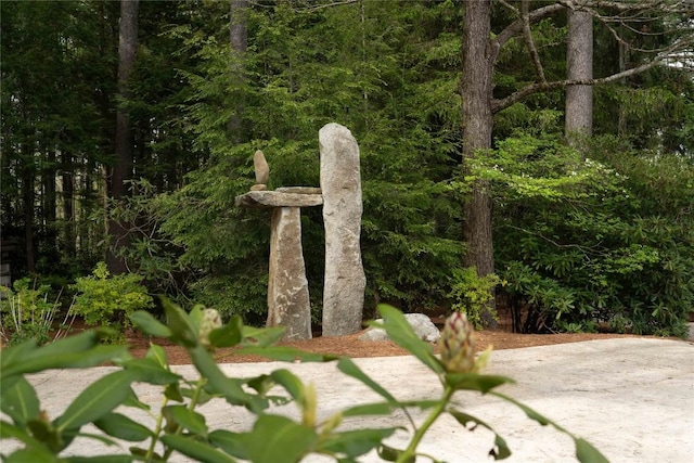 749 Stillmont Cir, Cashiers, NC 28717 - surrounding community with a view of trees