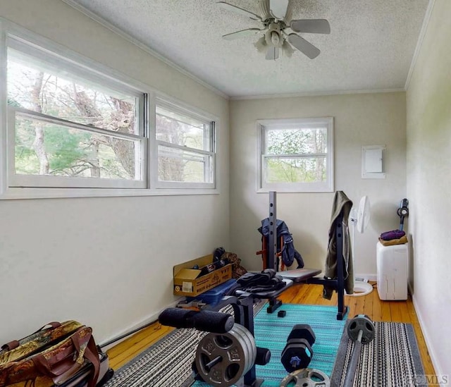 exercise room featuring hardwood / wood-style floors, ceiling fan, crown molding, and a textured ceiling