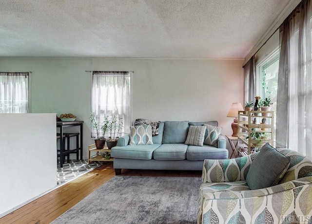 living room with a textured ceiling and hardwood / wood-style floors