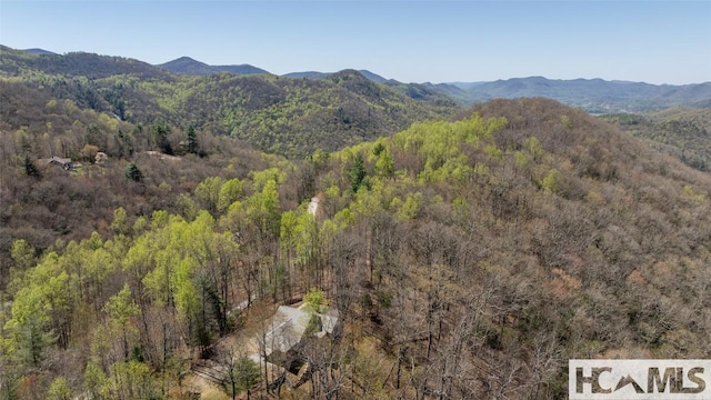 2473 Highland Gap Rd, Scaly Mountain, NC 28775 - photo 62