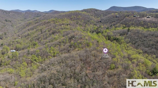 2473 Highland Gap Rd, Scaly Mountain, NC 28775 - photo 52