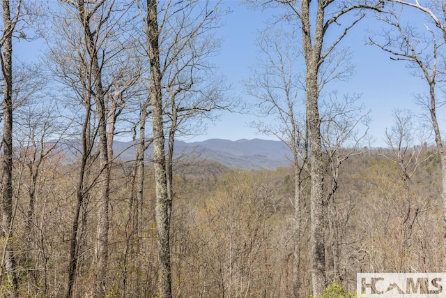 2473 Highland Gap Rd, Scaly Mountain, NC 28775 - photo 6