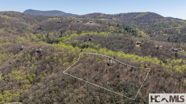 2473 Highland Gap Rd, Scaly Mountain, NC 28775 - photo 53
