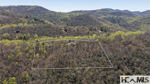 2473 Highland Gap Rd, Scaly Mountain, NC 28775 - photo 54