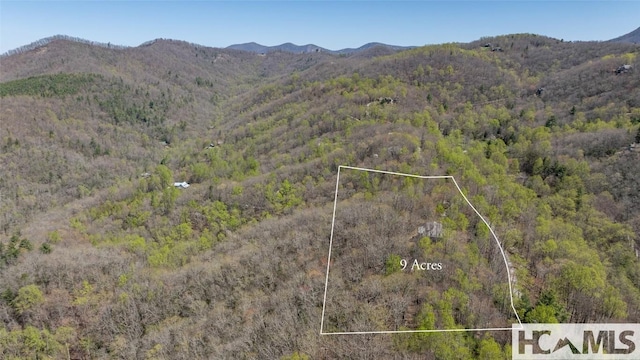 2473 Highland Gap Rd, Scaly Mountain, NC 28775 - photo 51